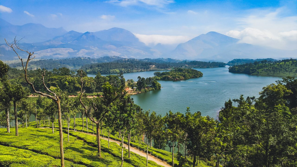 Anayirankal Dam & Reservoir