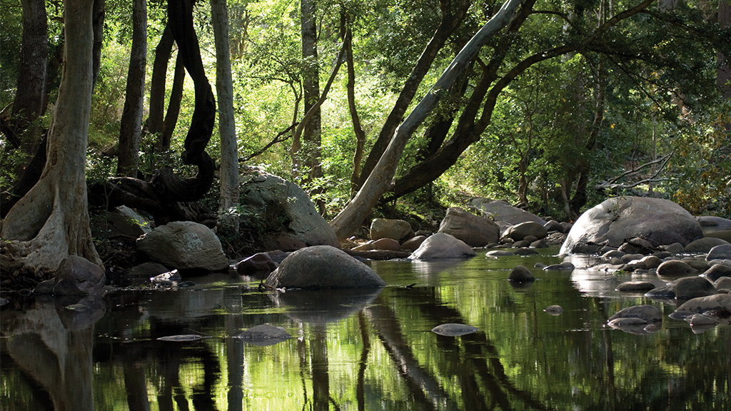 Chinnar Wildlife Sanctuary 