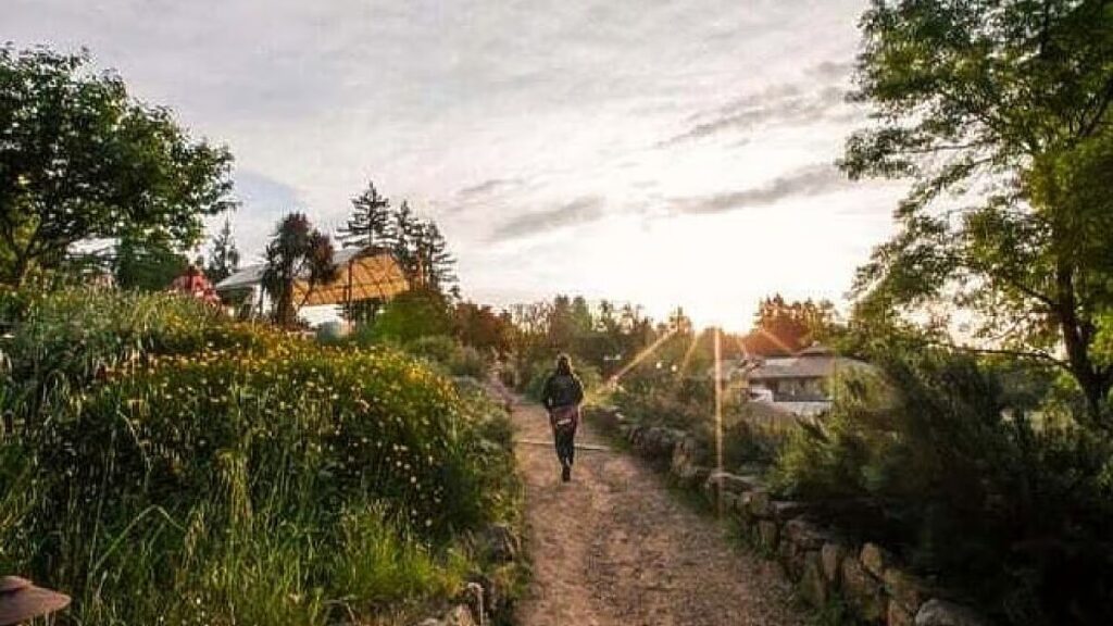 Mount Madonna Center 