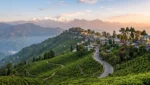 Complete Kurseong Travel Guide for First-Time Visitors